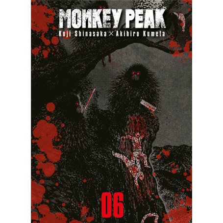 Monkey Peak T06