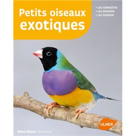 Petits oiseaux exotiques