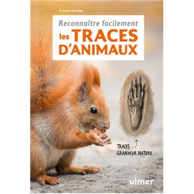 Reconnaître facilement les traces d'animaux - Traces grande nature