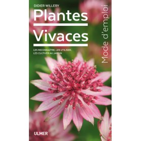 Plantes vivaces