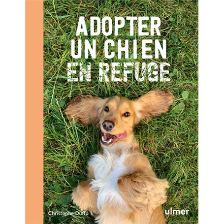 Adopter un chien en refuge