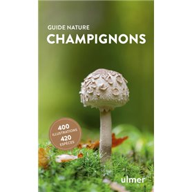 Champignons