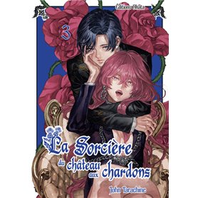 La sorcière du château aux chardons - Tome 3