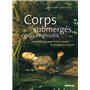 Corps submergés, corps engloutis.