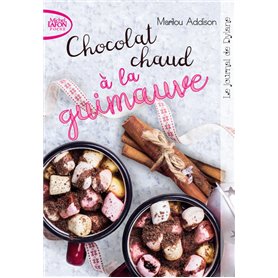 Le journal de Dylane - tome 2 Chocolat chaud à la guimauve