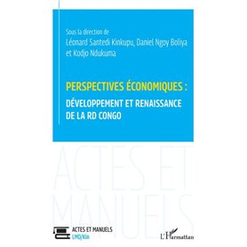 Perspectives économiques : développement et renaissance de la RD Congo
