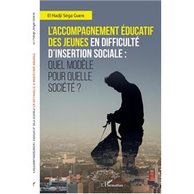 L'accompagnement éducatif des jeunes en difficulté d'insertion sociale :