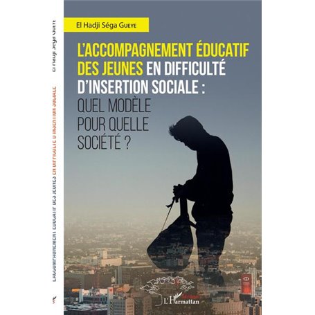 L'accompagnement éducatif des jeunes en difficulté d'insertion sociale :