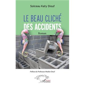 Le beau cliché des accidents