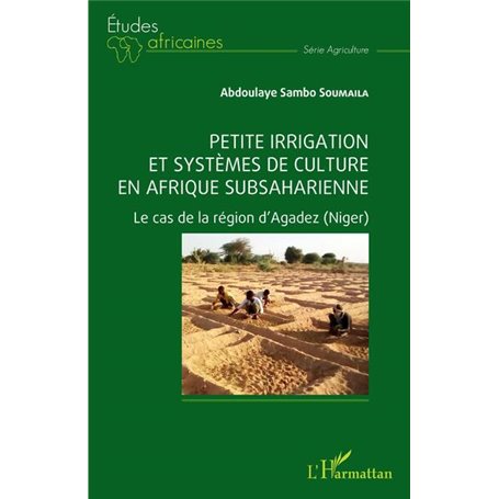 Petite irrigation et systèmes de culture en Afrique subsaharienne