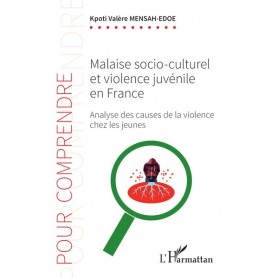 Malaise socio-culturel et violence juvénile en France