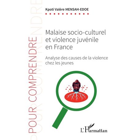 Malaise socio-culturel et violence juvénile en France