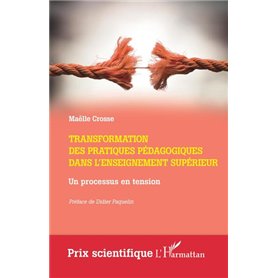 Transformation des pratiques pédagogiques dans l'enseignement supérieur