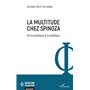 La multitude chez Spinoza