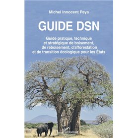 Guide DSN