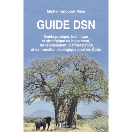 Guide DSN