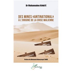 Des mines "antinational" à l'origine de la crise malienne