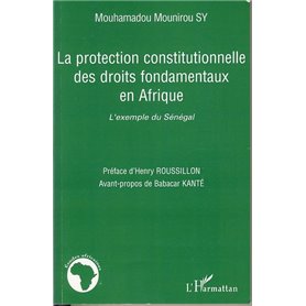 La protection constitutionnelle des droits fondamentaux en Afrique