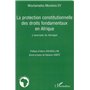 La protection constitutionnelle des droits fondamentaux en Afrique