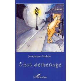 Chat déménage