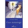 Chat déménage