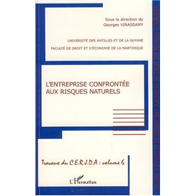 L'entreprise confrontée aux risques naturels