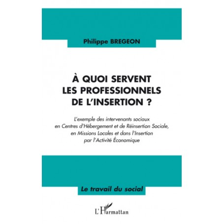 A quoi servent les professionnels de l'insertion ?