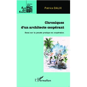 Chroniques d'un architecte coopérant