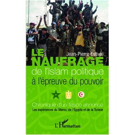 Le naufrage de l'islam politique à l'épreuve du pouvoir