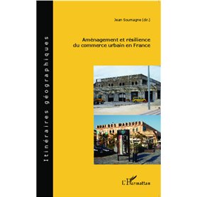 Aménagement et résilience du commerce urbain en France