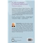 Alain Fournier, Le Grand Meaulnes