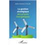 La gestion stratégique des projets énergétiques