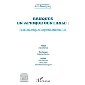 Banques en Afrique centrale : problématiques organisationnelles