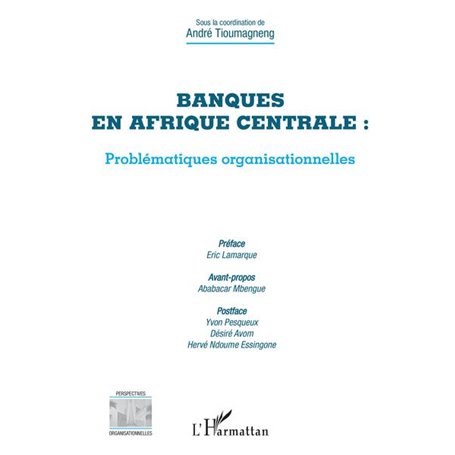 Banques en Afrique centrale : problématiques organisationnelles