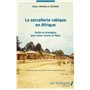 La sorcellerie rabique en Afrique