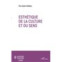 Esthétique de la culture et du sens