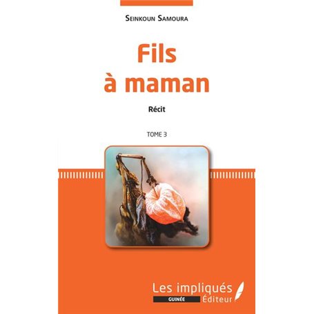 Fils à maman. Récit. Tome 3