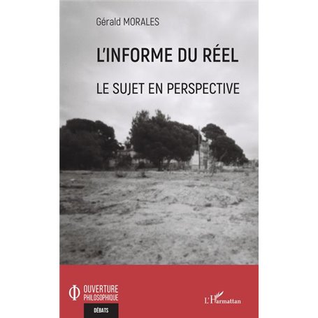 L'informe du réel