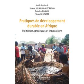 Pratiques de développement durable en Afrique