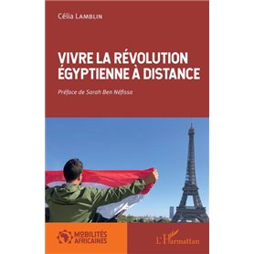 Vivre la révolution égyptienne à distance