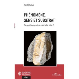 Phénomène, sens et substrat