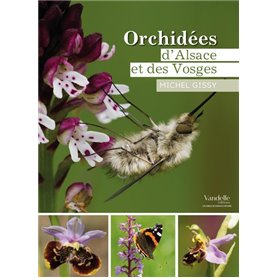 Orchidées d'Alsace et des Vosges