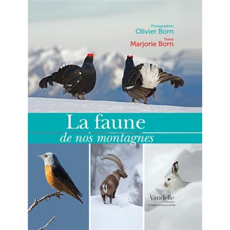 La faune de nos montagnes