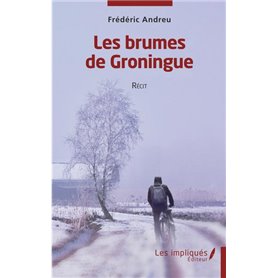 Les brumes de Groningue