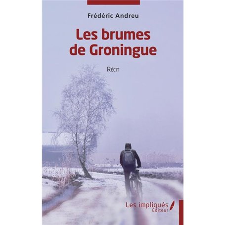 Les brumes de Groningue