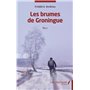 Les brumes de Groningue