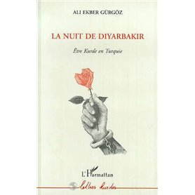 La nuit de Diyarbakir