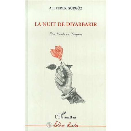 La nuit de Diyarbakir