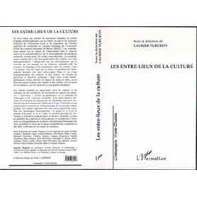 LES ENTRE-LIEUX DE LA CULTURE