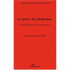 La misère des intellectuels